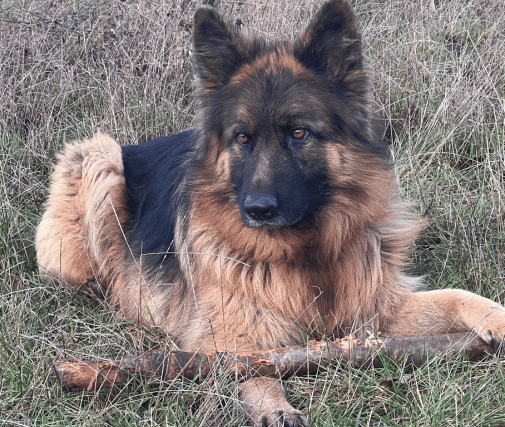 Masuria Lakehouse Wypoczynek na Mazurach